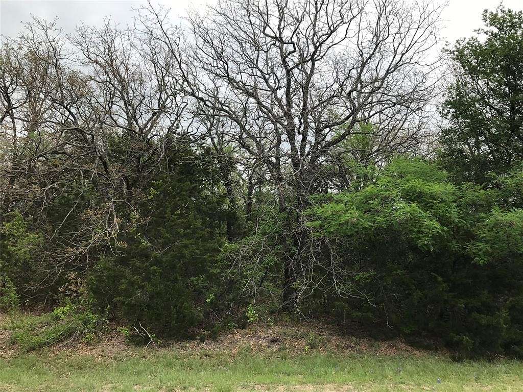 0.26 Acres of Residential Land for Sale in Whitney, Texas