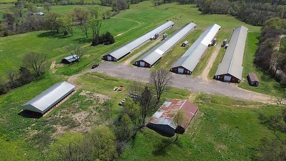 54 Acres of Improved Land for Sale in Danville, Arkansas