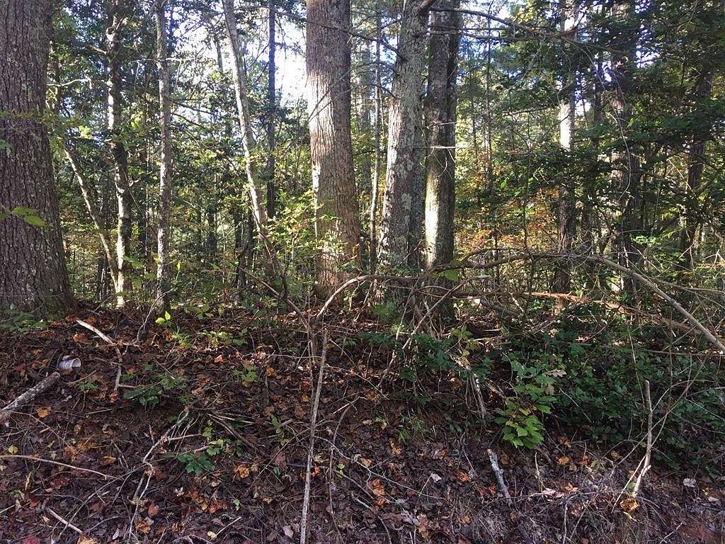 0.78 Acres of Residential Land for Sale in Ellijay, Georgia