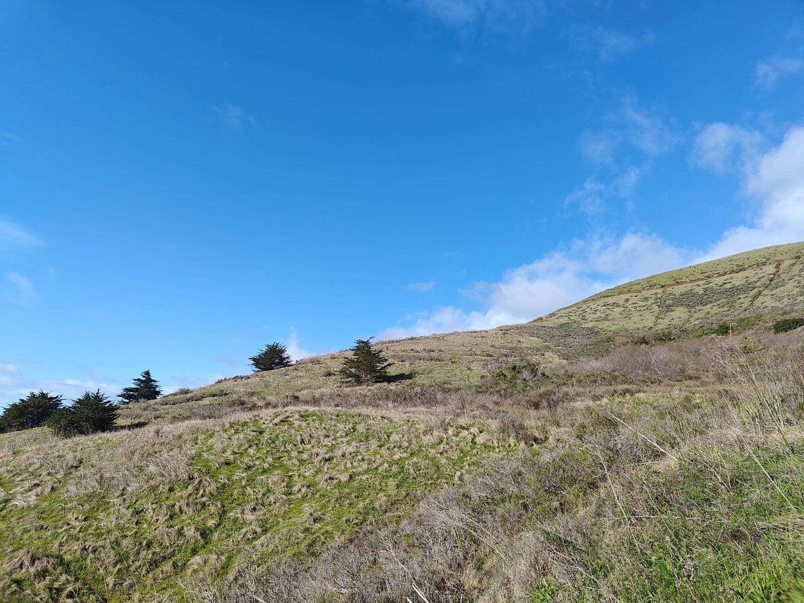 0.18 Acres of Residential Land for Sale in Cayucos, California