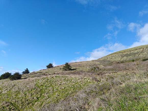 0.18 Acres of Residential Land for Sale in Cayucos, California