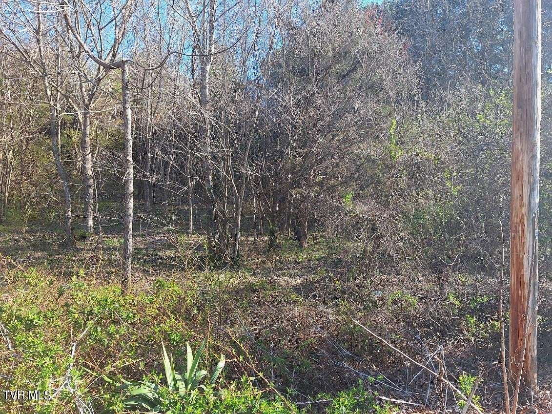 0.47 Acres of Land for Sale in Greeneville, Tennessee