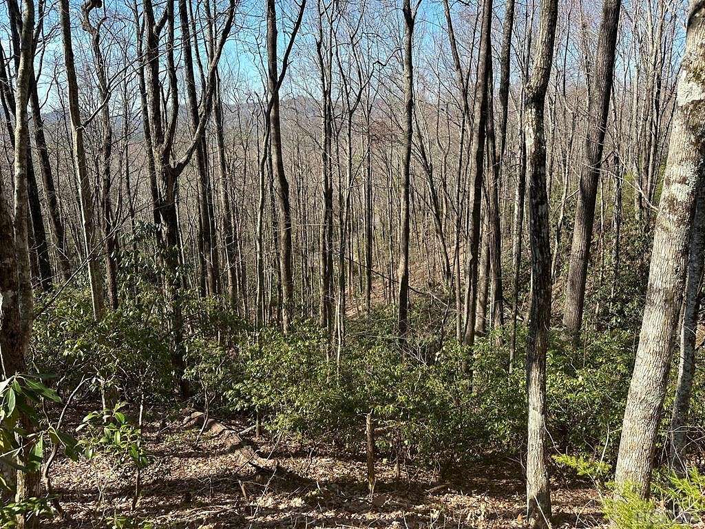 0.75 Acres of Residential Land for Sale in Sapphire, North Carolina