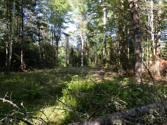1.5 Acres of Residential Land for Sale in Greenfield Township, Maine