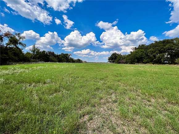 30 Acres of Land for Sale in Kosse, Texas