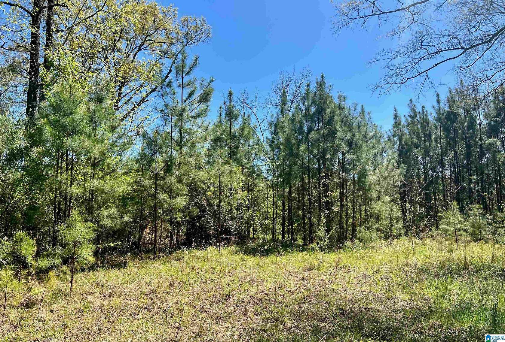 0.61 Acres of Land for Sale in Trussville, Alabama