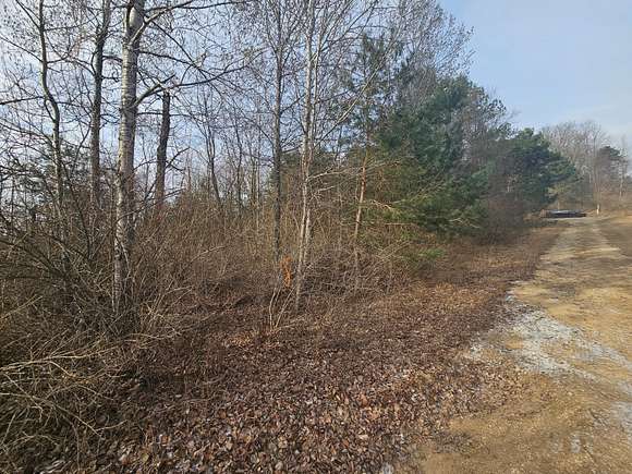 2 Acres of Land for Sale in Hersey, Michigan