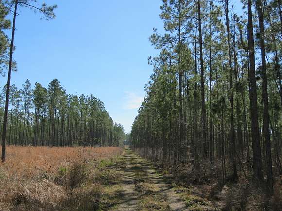 1,141 Acres of Recreational Land & Farm for Sale in Lake City, Florida
