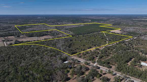 358 Acres of Recreational Land & Farm for Sale in Gainesville, Florida