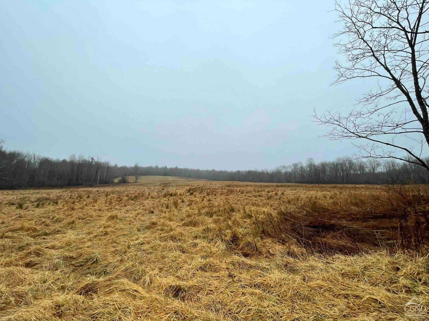 101.36 Acres of Land for Sale in Liberty, New York
