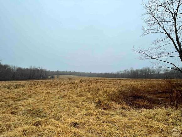 101 Acres of Land for Sale in Liberty, New York
