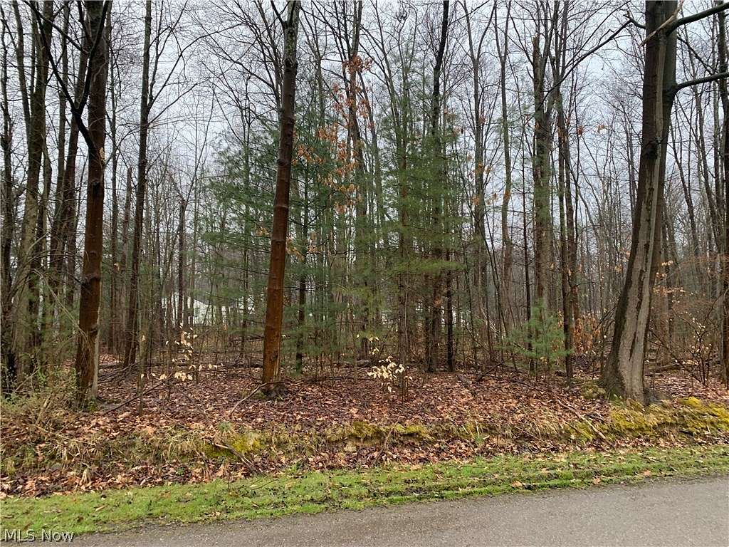 0.22 Acres of Residential Land for Sale in Andover, Ohio