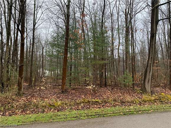 0.22 Acres of Residential Land for Sale in Andover, Ohio