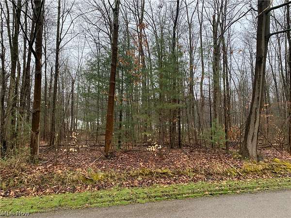 0.22 Acres of Land for Sale in Andover, Ohio