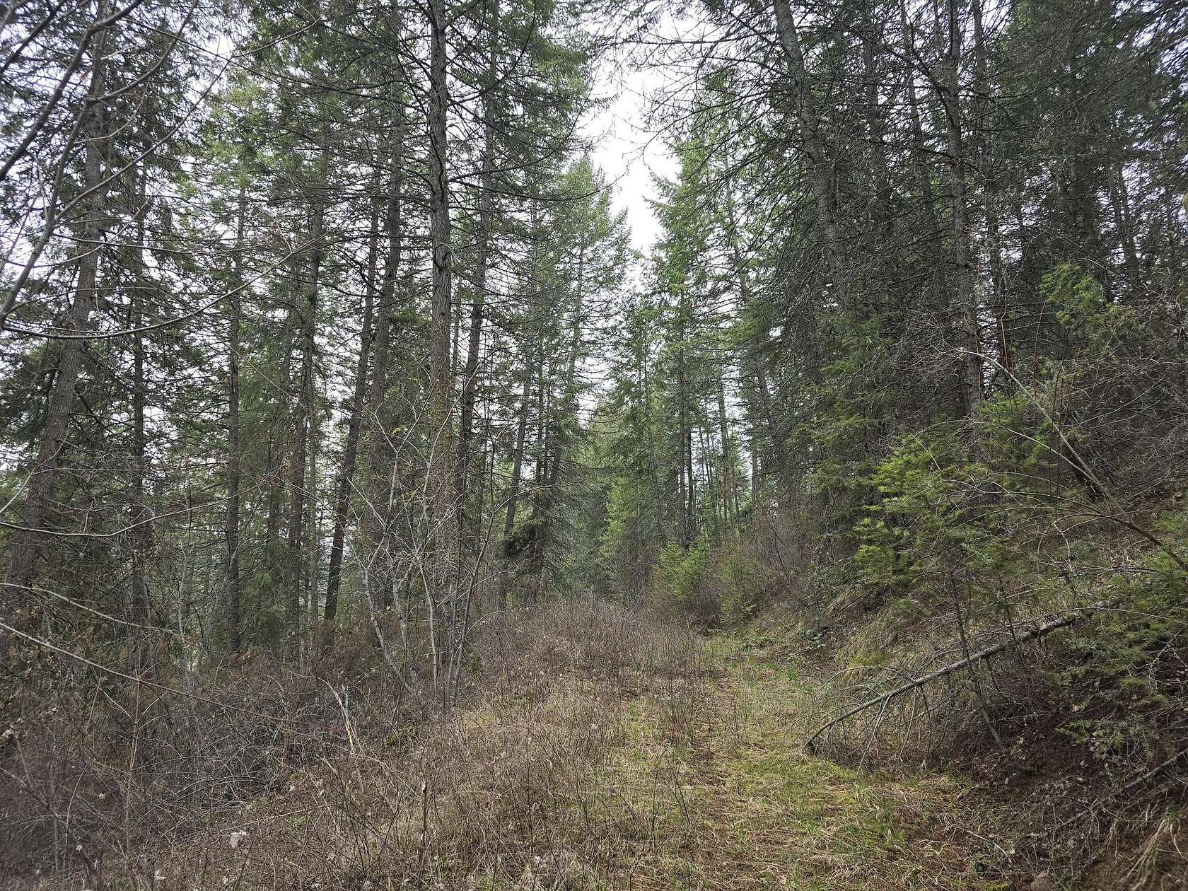 27.3 Acres of Land for Sale in Kettle Falls, Washington