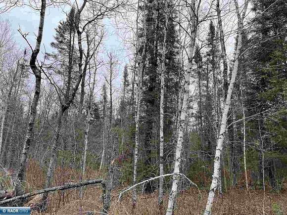40 Acres of Recreational Land for Sale in Aurora, Minnesota
