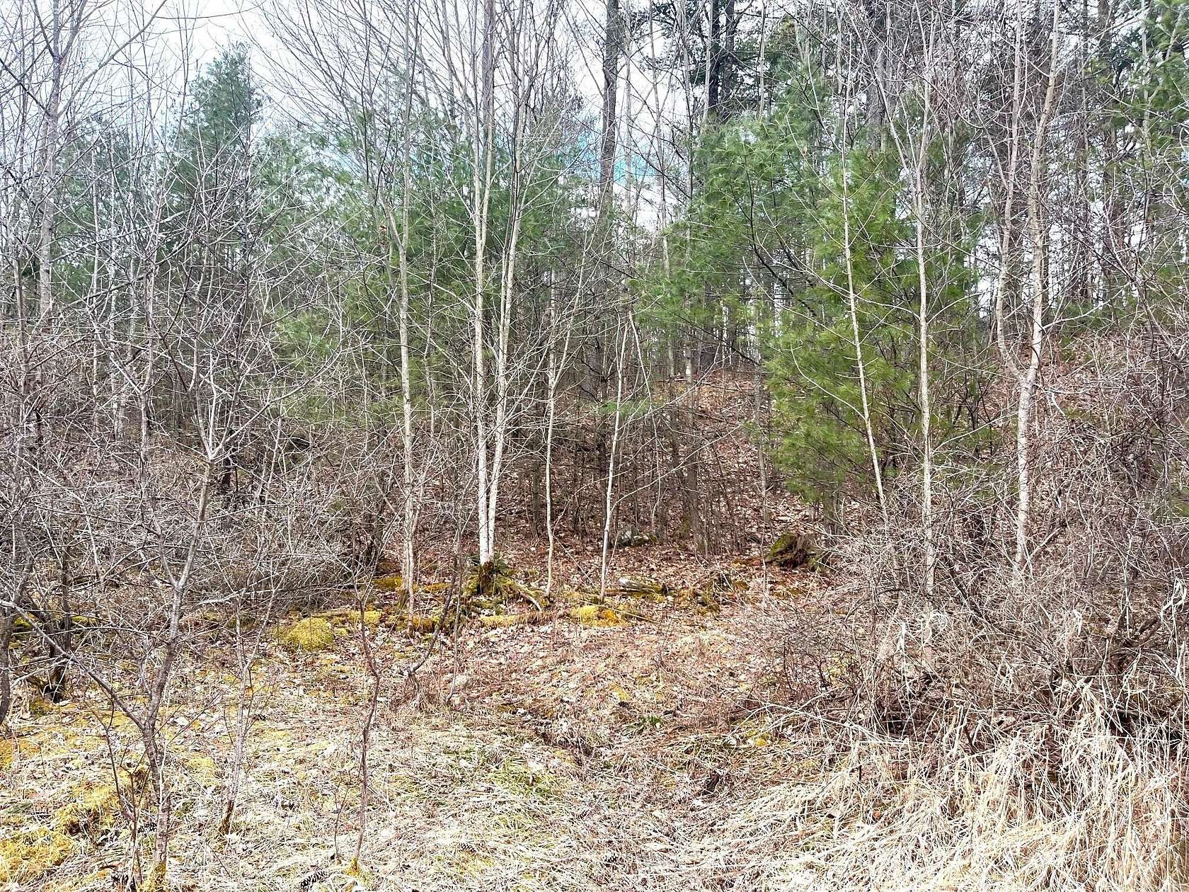 8.5 Acres of Residential Land for Sale in Westport, New York