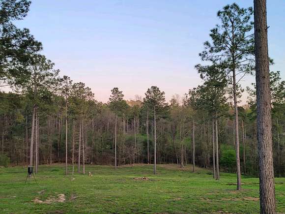 7.3 Acres of Land for Sale in Amity, Arkansas
