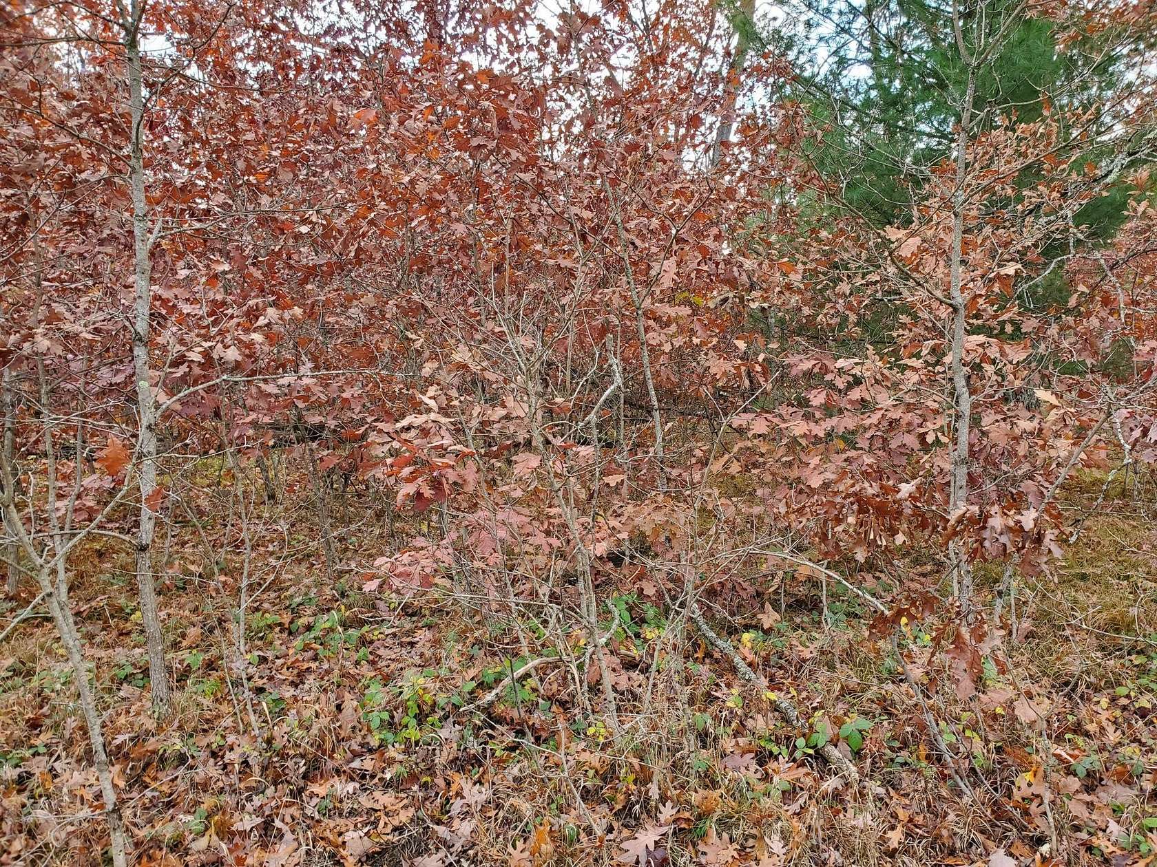 0.34 Acres of Land for Sale in Idlewild, Michigan