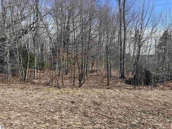 0.34 Acres of Residential Land for Sale in Maple City, Michigan
