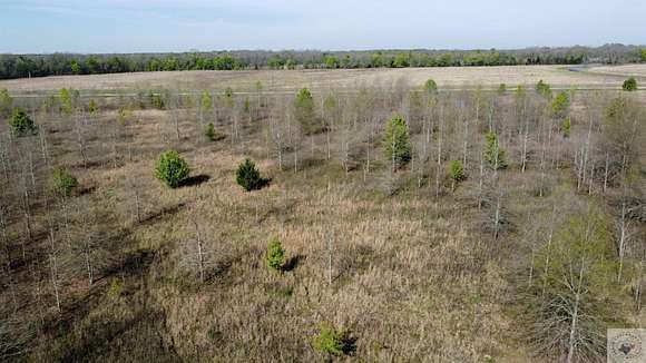 20 Acres of Recreational Land for Sale in Texarkana, Texas