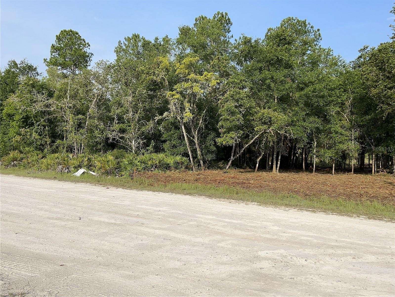 0.86 Acres of Residential Land for Sale in Webster, Florida