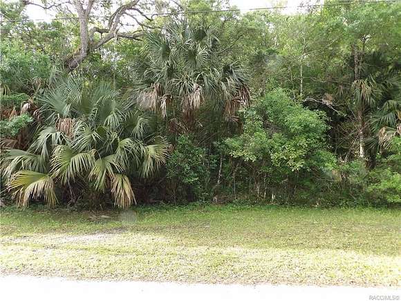 3.5 Acres of Residential Land for Sale in Inverness, Florida