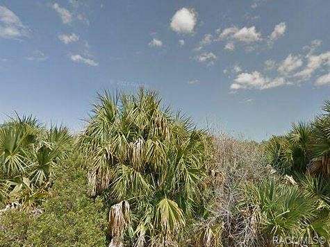 0.54 Acres of Residential Land for Sale in Palm Bay, Florida