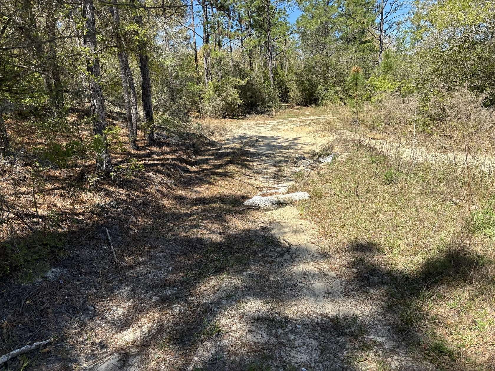 2 Acres of Residential Land for Sale in Crestview, Florida