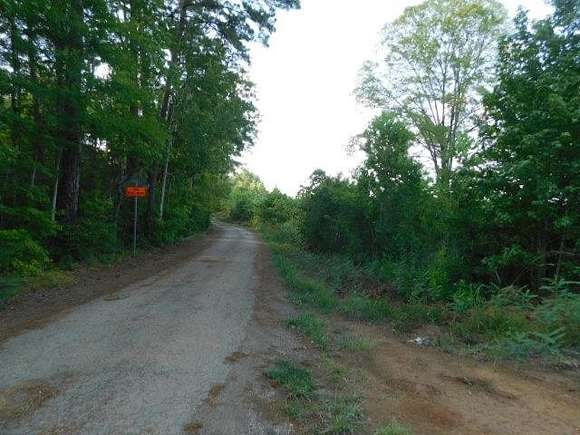 10 Acres of Land for Sale in Hemphill, Texas