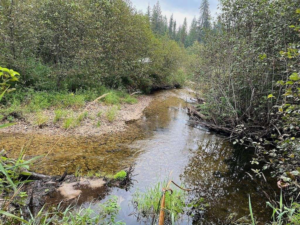 15.5 Acres of Recreational Land for Sale in Cusick, Washington