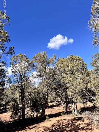 1 Acre of Residential Land for Sale in Show Low, Arizona