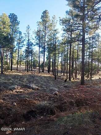 2.5 Acres of Residential Land for Sale in Overgaard, Arizona