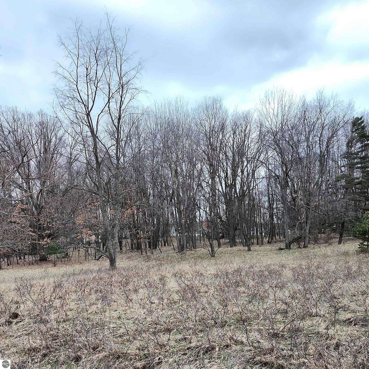 0.52 Acres of Residential Land for Sale in Lake Isabella, Michigan