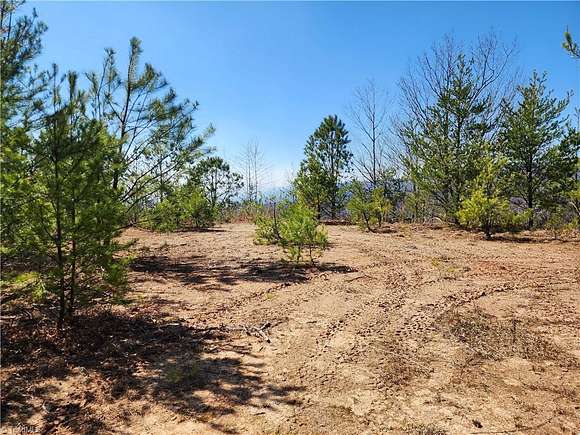 24.8 Acres of Land for Sale in Andrews, North Carolina