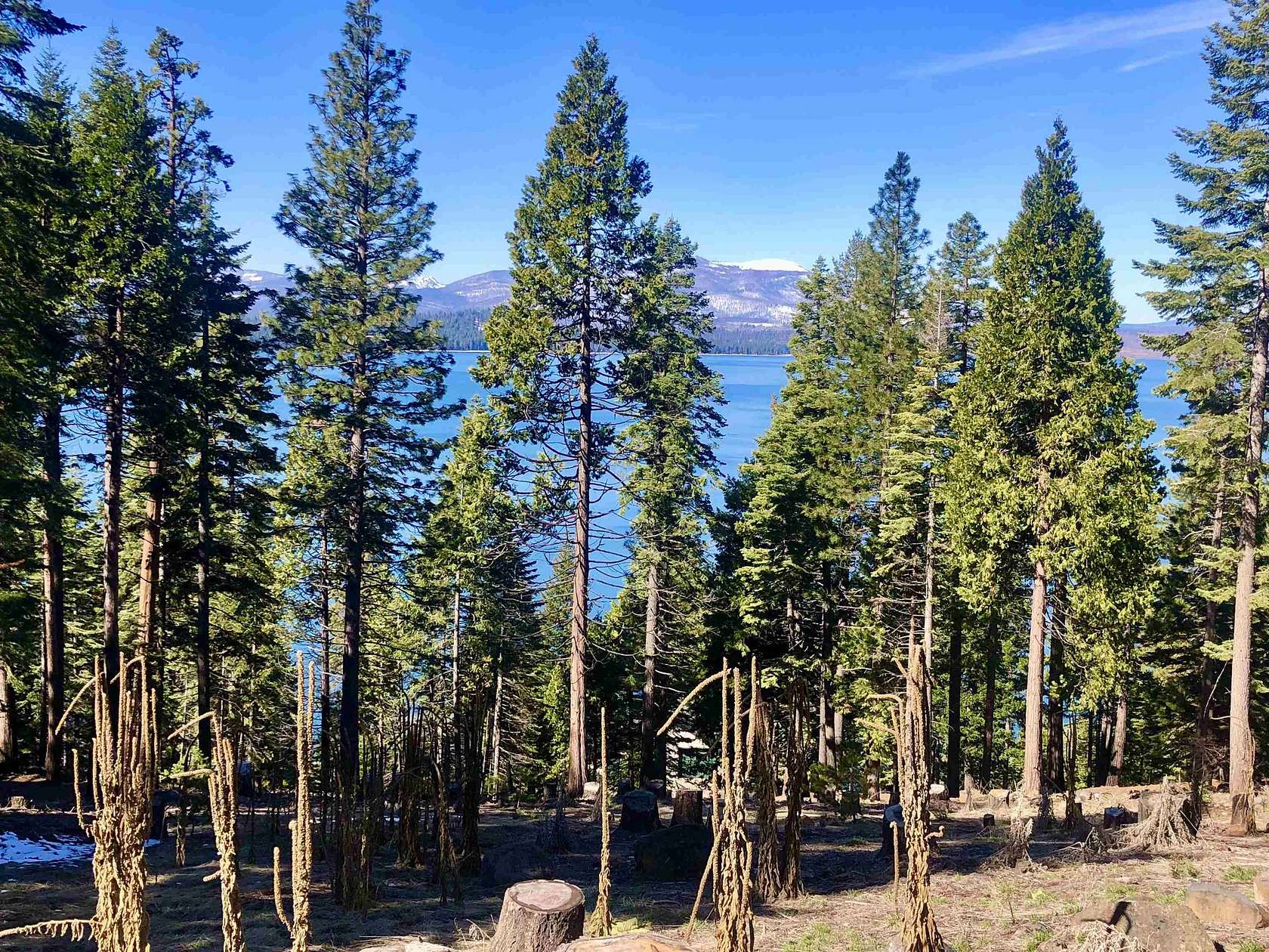 0.57 Acres of Residential Land for Sale in Lake Almanor Country Club, California