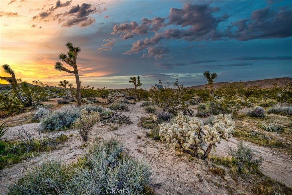 2.5 Acres of Residential Land for Sale in Yucca Valley, California