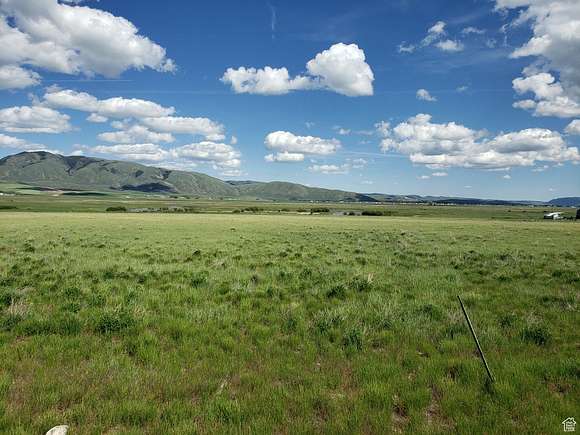 5 Acres of Residential Land for Sale in Bern, Idaho