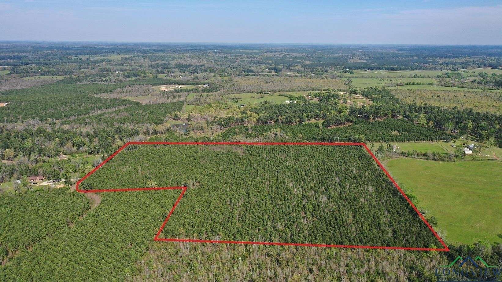 33.2 Acres of Recreational Land for Sale in Linden, Texas
