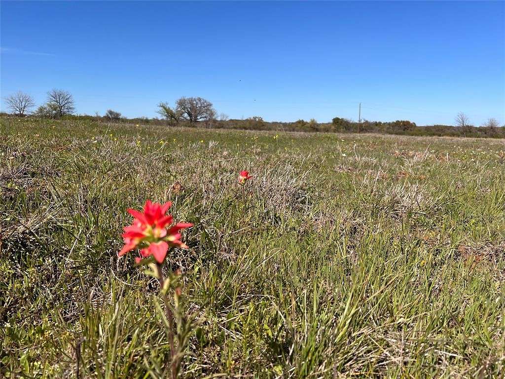 11 Acres of Recreational Land for Sale in Rising Star, Texas