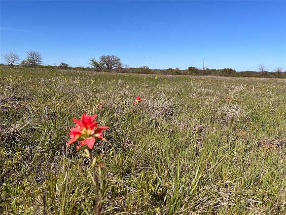 11 Acres of Recreational Land for Sale in Rising Star, Texas