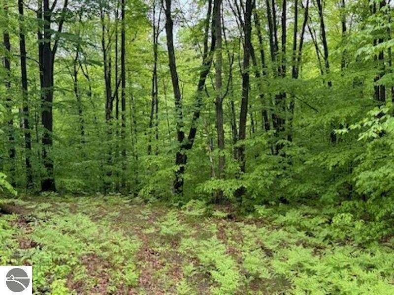 9.8 Acres of Land for Sale in Fife Lake, Michigan