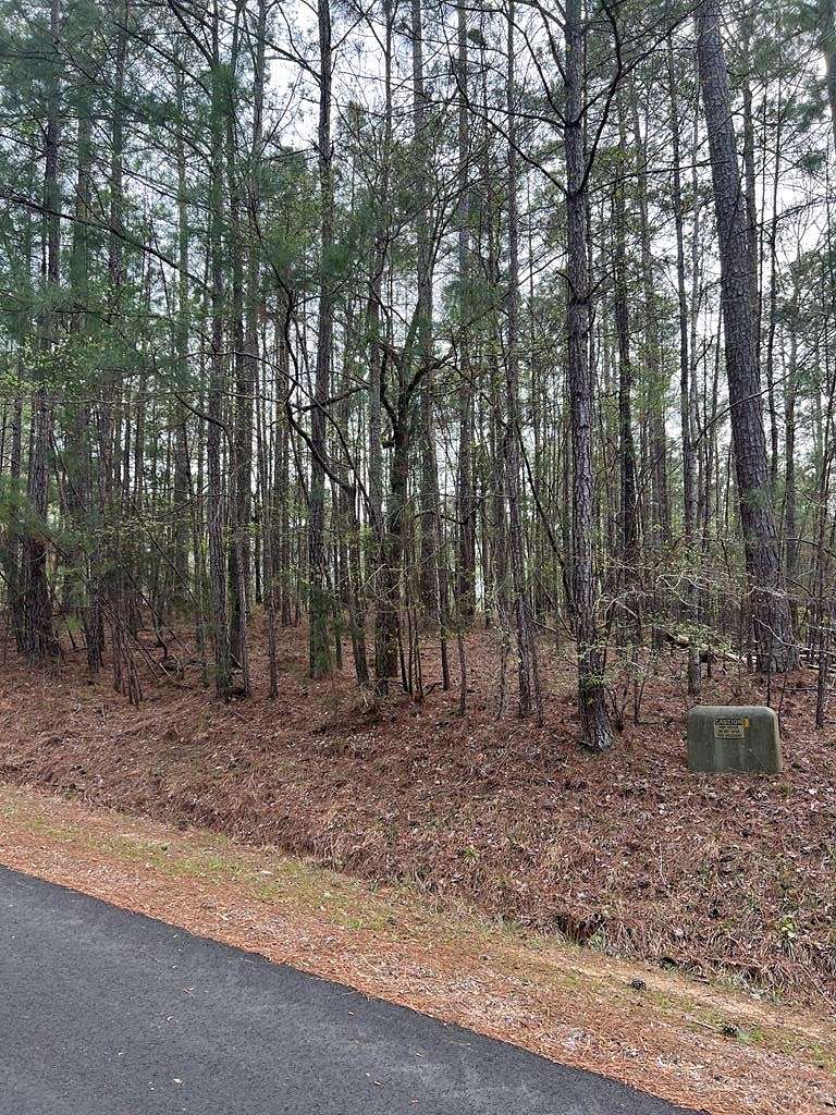 0.34 Acres of Residential Land for Sale in McCormick, South Carolina