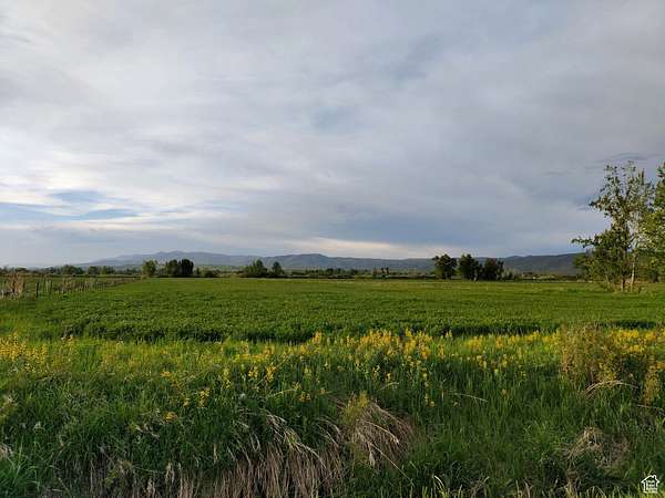 4.4 Acres of Land for Sale in Dingle, Idaho