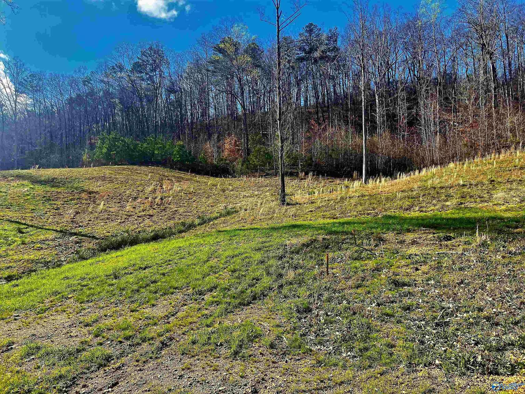 0.62 Acres of Residential Land for Sale in Altoona, Alabama