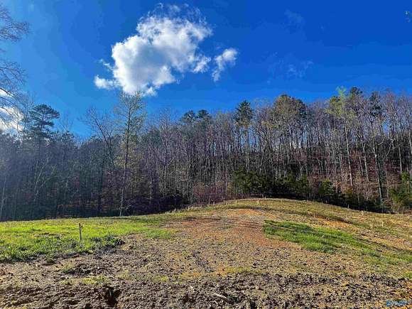 0.48 Acres of Residential Land for Sale in Altoona, Alabama