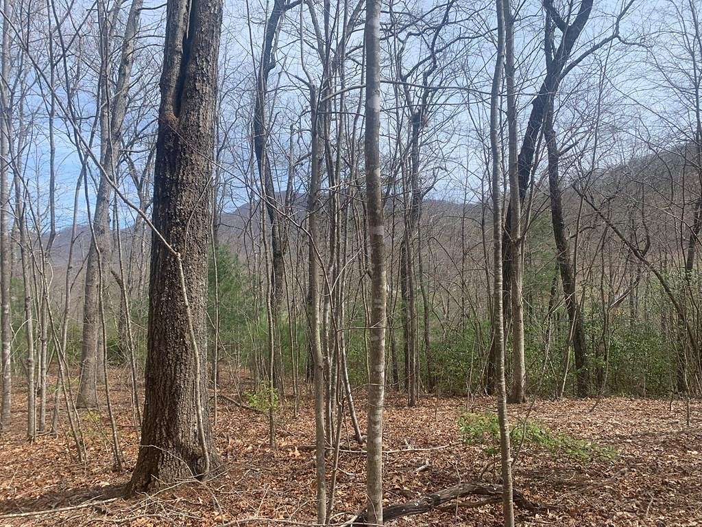 0.93 Acres of Land for Sale in Hiawassee, Georgia