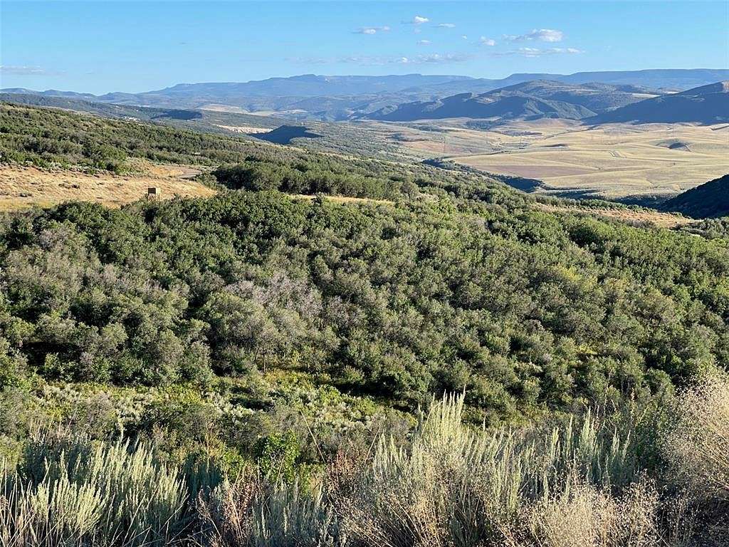35.2 Acres of Agricultural Land for Sale in Hayden, Colorado
