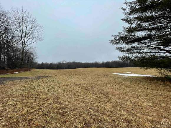 19.8 Acres of Land for Sale in Liberty, New York