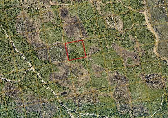 2.5 Acres of Land for Sale in Oak Hill, Florida